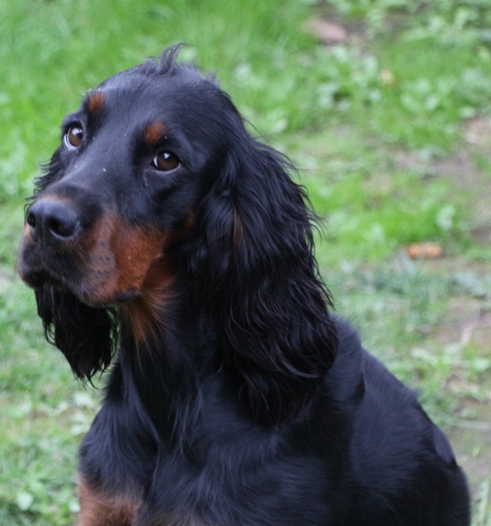 CH. Petra Des Coteaux Du Maine Marreau