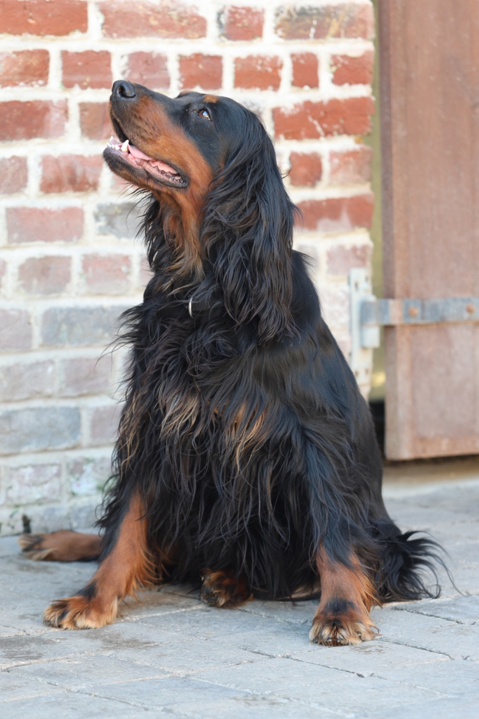 Thallys Des Coteaux Du Maine Marreau