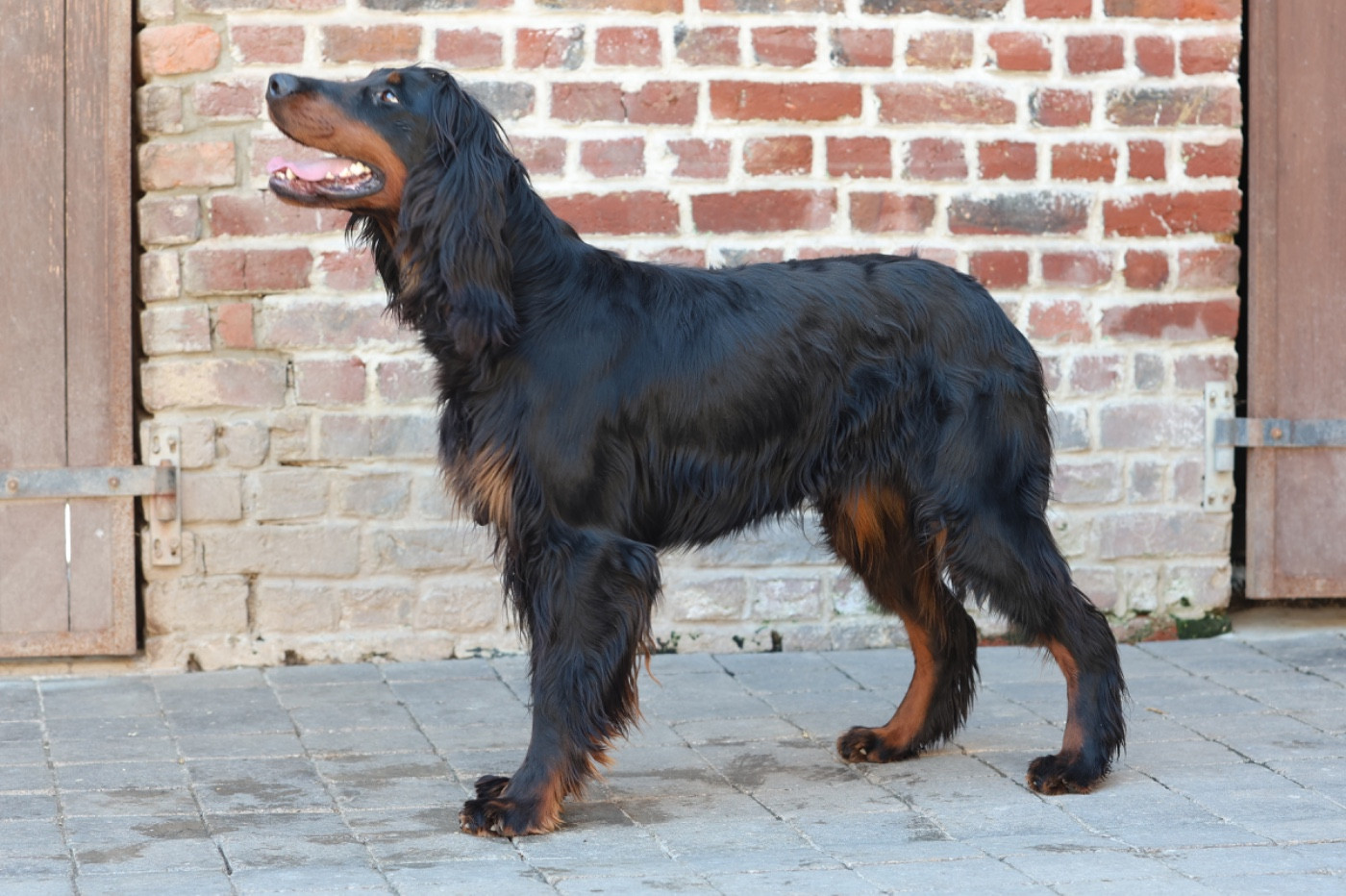 Upsa Du Domaine De Loumatpau