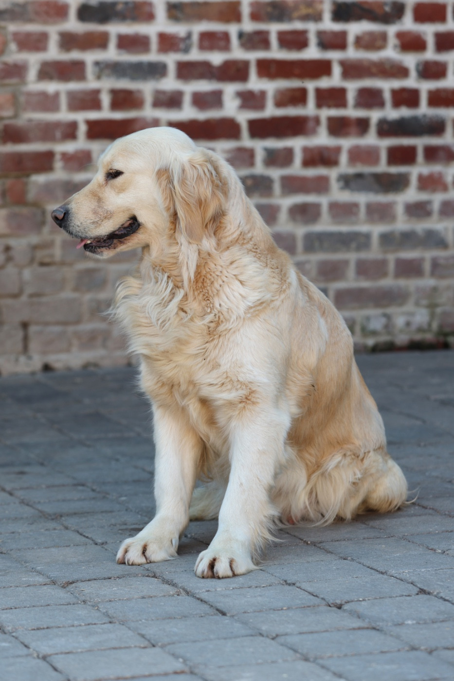 Sunday (Sans Affixe)