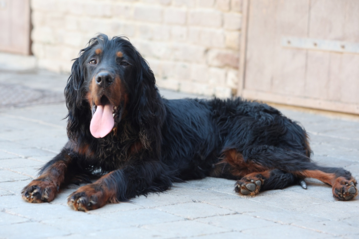 Ulysse Des Coteaux Du Maine Marreau